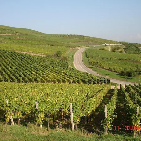 Gite Du Vigneron Turckheim Exterior photo