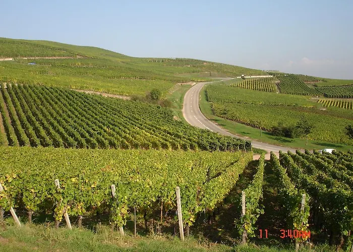 Gite Du Vigneron