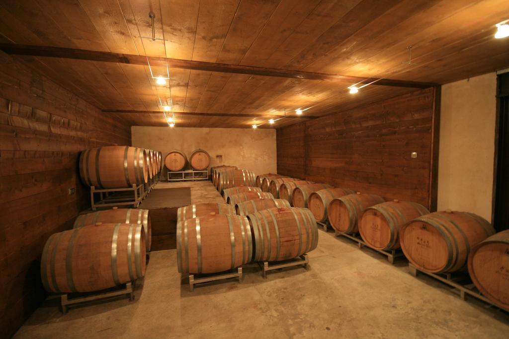 Gite Du Vigneron Turckheim