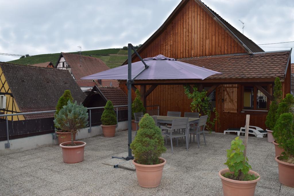 Gite Du Vigneron * Turckheim